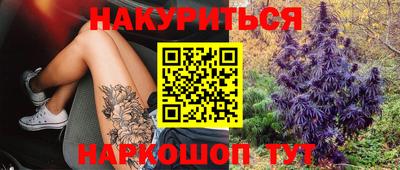 крисы Ливны