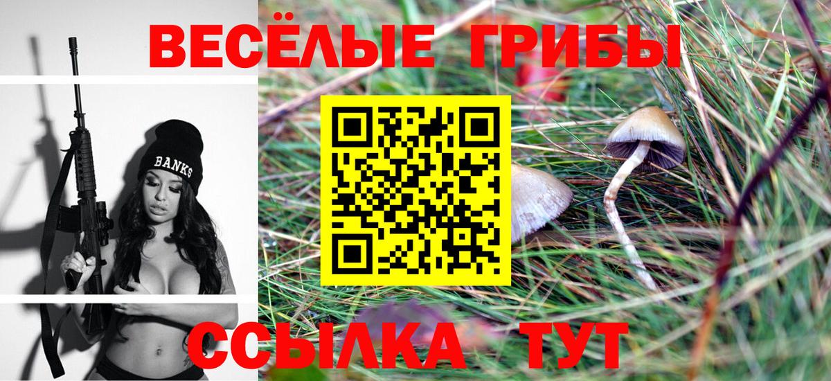 Ишимбай  Псилоцибиновые грибы ЛСД  Вход с VPN 