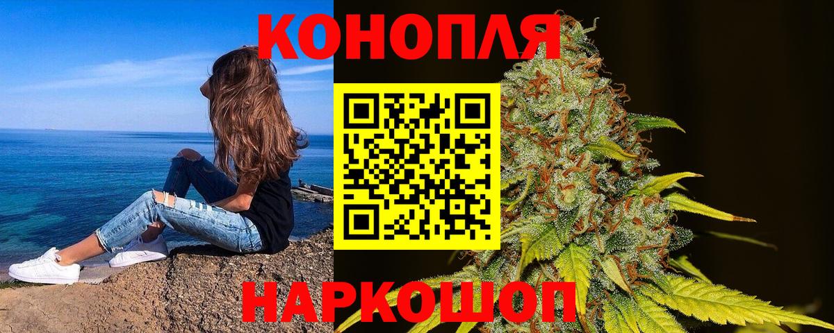 Бошки Шишки сатива Ишимбай